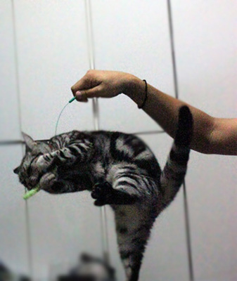 10ap_0059.jpg