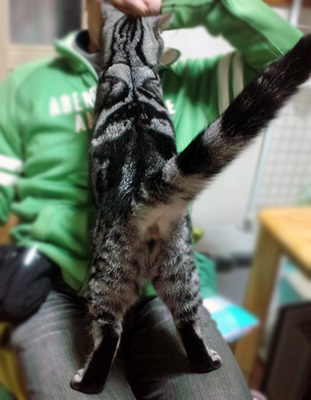 10ap_0110.jpg