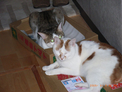 2009.07sm.jpg