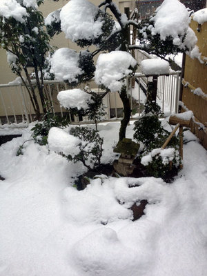 20120229_4.jpg