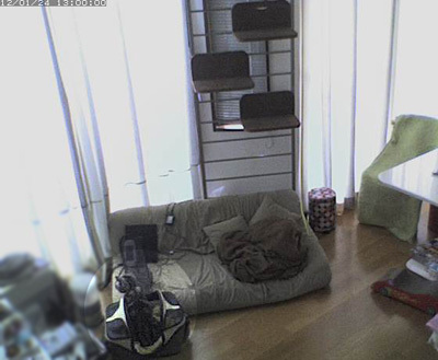BufferingImage-382.jpg