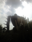 CA3A0348.jpg