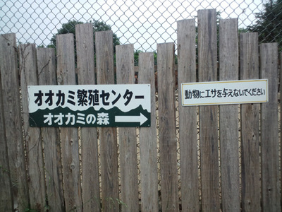 CA3F0094.jpg