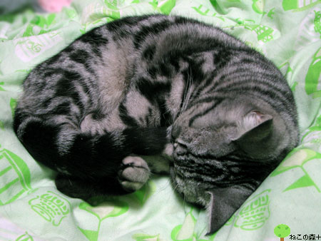 ap08_024.jpg
