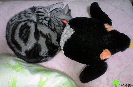 ap08_034.jpg