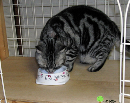 ap08_036.jpg