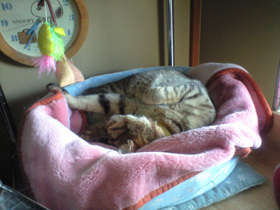 jj2010_23.jpg