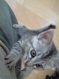 080630_1634~0001.jpg