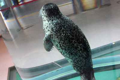 nihonIMG_2082.jpg