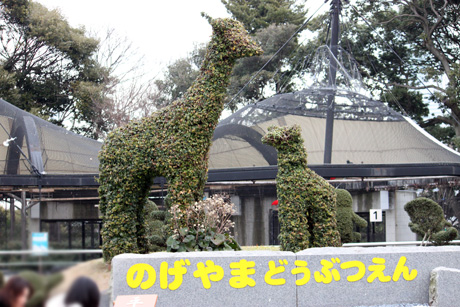 nogeIMG_8567.jpg