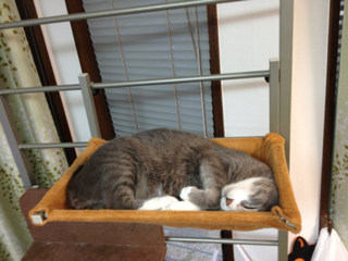 image-20121229194548.png