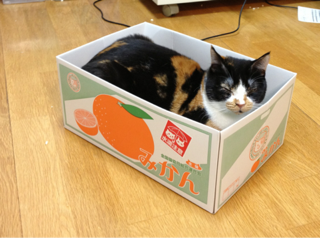 image-20131210215249.png